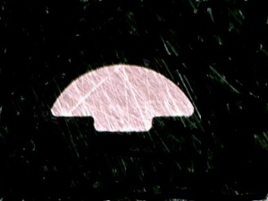 ���̂��^���i���M�Ɂj